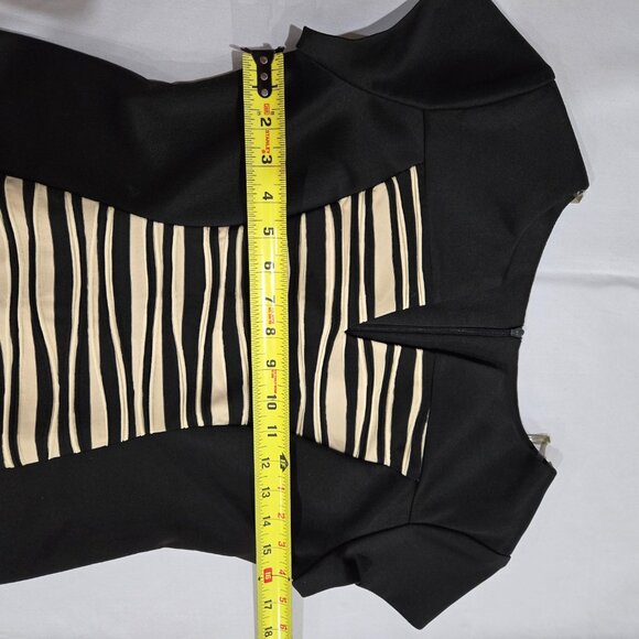 NWOT CONNECTED Apparel black with tan stripes dress size 4P - Picture 4 of 7
